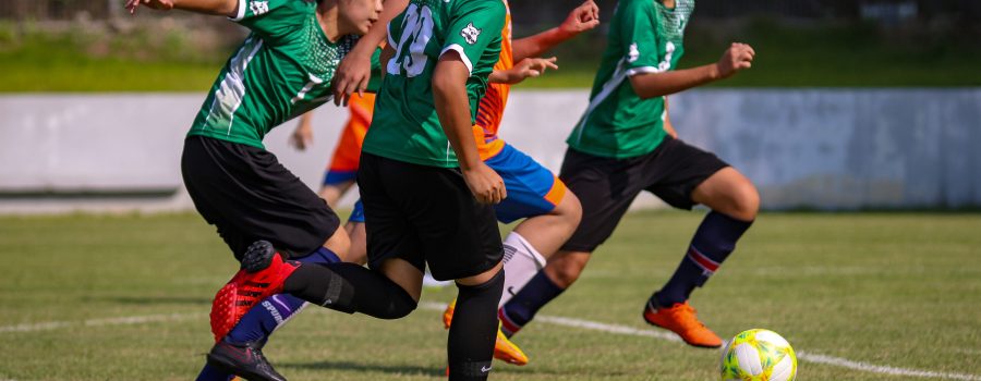 Welcome to the UPTA Newsletter 2023