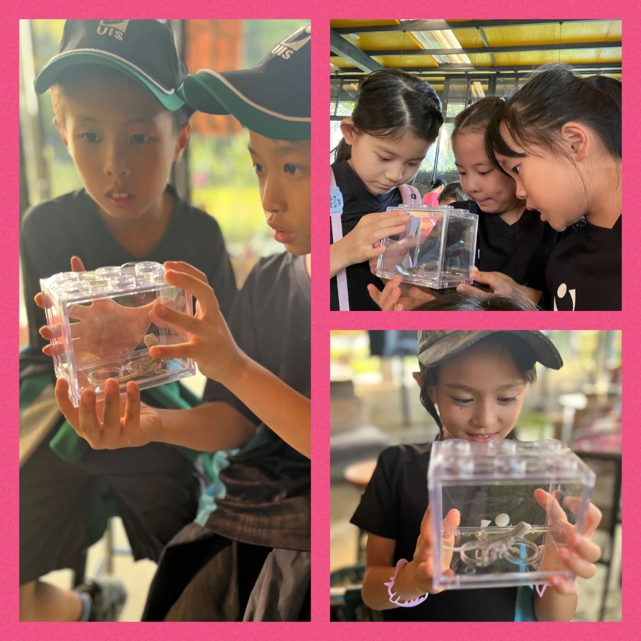 Photos | Year 3 Camp (Nov 2023)