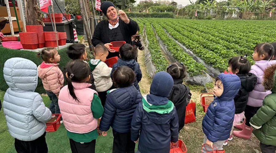 K & K1 Field Trip – We are off on a strawberry picking adventure (Dec 2023)