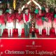 UISG represented as Tree Lighting Ceremonies Return ! (Nov 2023)