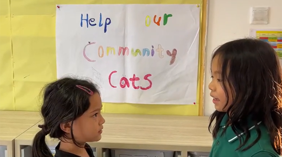 Video | Helping Our Community Cats (Dec 2023)
