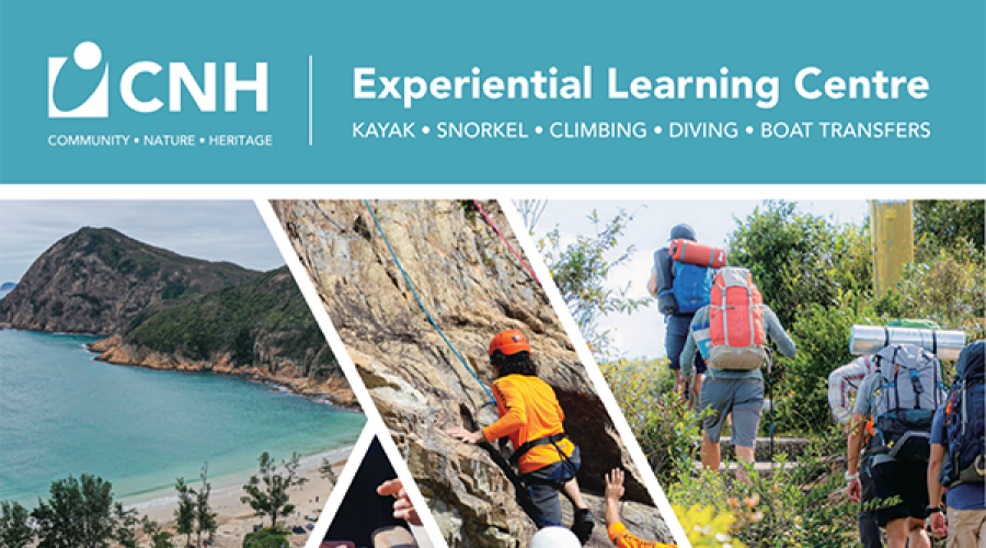 CNH Summer Camp 2024 registration is on！