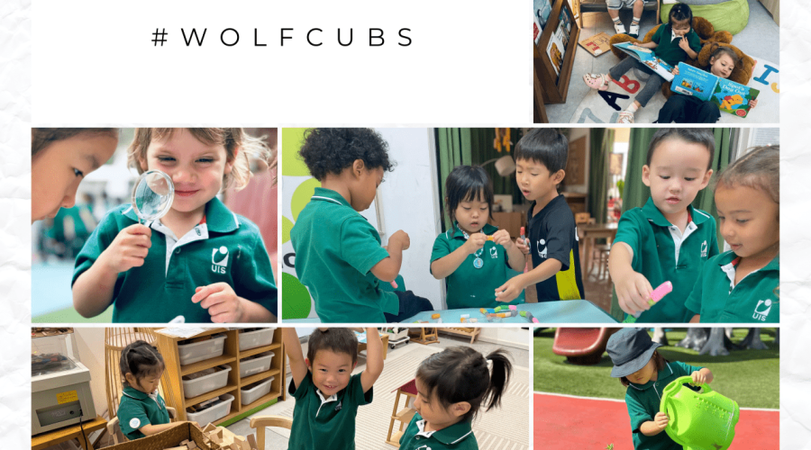 10 Transformative Aspects of the IB PYP Early Years at UISG
