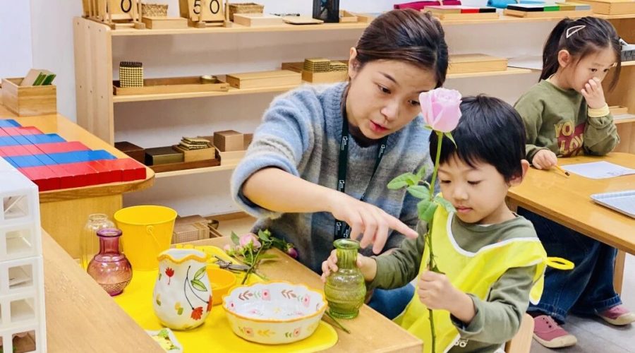 Witness Growth in Casa Class | 在Casa，看见孩子从容生长的力量