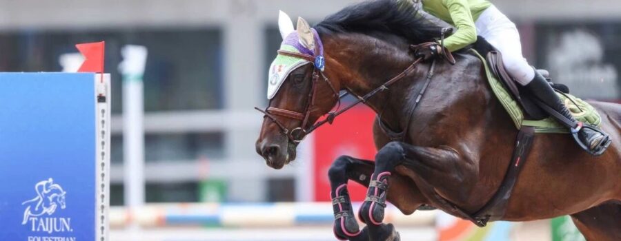 From Circles to Winner’s Circle – A Mom & Teen Knight’s Ride Together